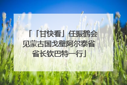 「甘快看」任振鹤会见蒙古国戈壁阿尔泰省省长钦巴特一行