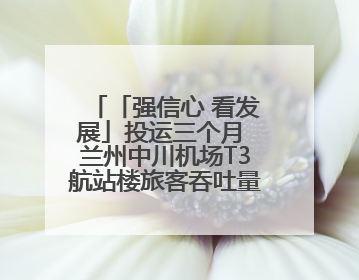 「强信心 看发展」投运三个月 兰州中川机场T3航站楼旅客吞吐量超434万人次