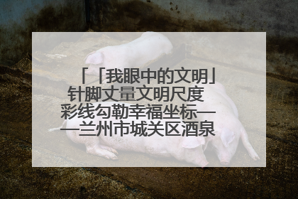 「我眼中的文明」针脚丈量文明尺度 彩线勾勒幸福坐标——兰州市城关区酒泉路街道办事处