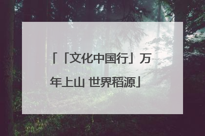 「文化中国行」万年上山 世界稻源