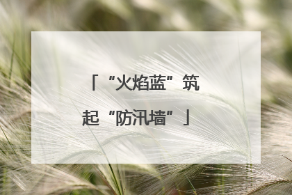 “火焰蓝”筑起“防汛墙”