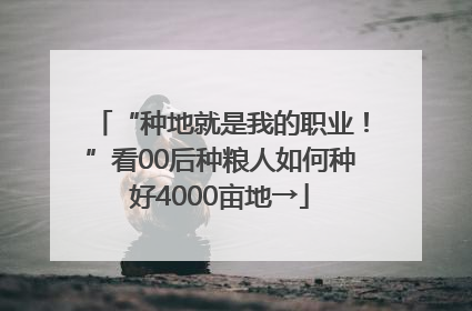 “种地就是我的职业！”看00后种粮人如何种好4000亩地→