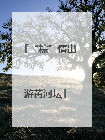 “粽”情出游黄河坛