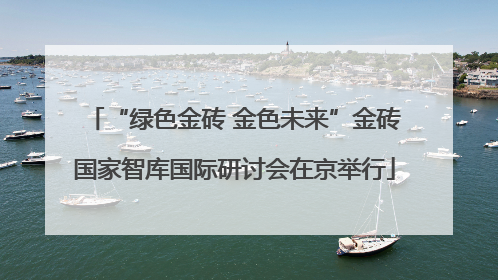 “绿色金砖 金色未来”金砖国家智库国际研讨会在京举行