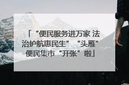 “便民服务进万家 法治护航惠民生”“头雁”便民集市“开张”啦