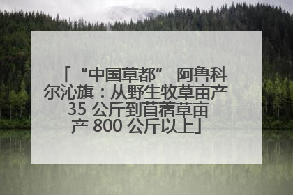 “中国草都” 阿鲁科尔沁旗：从野生牧草亩产 35 公斤到苜蓿草亩产 800 公斤以上
