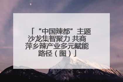 “中国辣都”主题沙龙集智聚力 共商萍乡辣产业多元赋能路径（图）