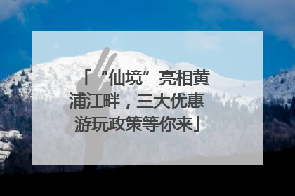 “仙境”亮相黄浦江畔，三大优惠游玩政策等你来