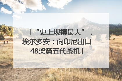 “史上规模最大”，埃尔多安：向印尼出口48架第五代战机