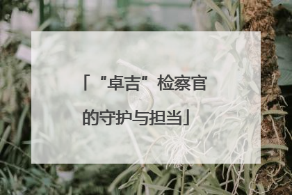“卓吉”检察官的守护与担当