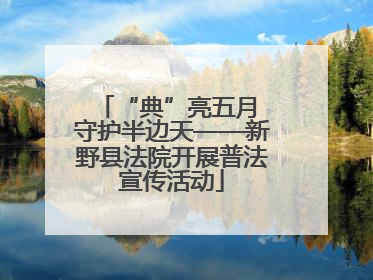 “典”亮五月 守护半边天——新野县法院开展普法宣传活动