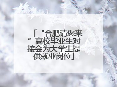 “合肥请您来”高校毕业生对接会为大学生提供就业岗位