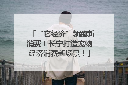 “它经济”领跑新消费！长宁打造宠物经济消费新场景！