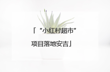 “小红村超市”项目落地安吉