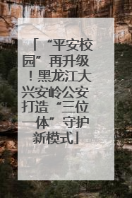 “平安校园”再升级！黑龙江大兴安岭公安打造“三位一体”守护新模式