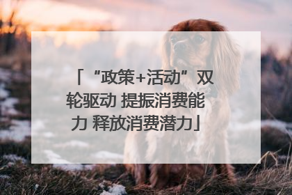 “政策+活动”双轮驱动 提振消费能力 释放消费潜力