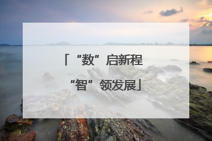 “数”启新程 “智”领发展