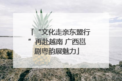 “文化走亲东盟行”再赴越南 广西邕剧粤韵展魅力