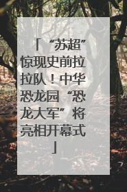 “苏超”惊现史前拉拉队！中华恐龙园“恐龙大军”将亮相开幕式