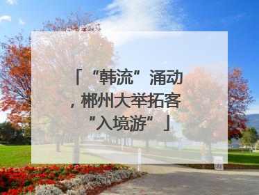 “韩流”涌动，郴州大举拓客“入境游”