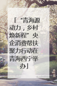 “青海源动力，乡村焕新程”央企消费帮扶聚力行动在青海西宁举办
