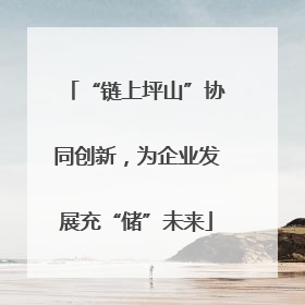 “链上坪山”协同创新，为企业发展充“储”未来