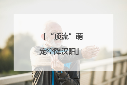 “顶流”萌宠空降汉阳