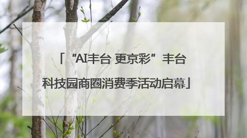 “AI丰台 更京彩”丰台科技园商圈消费季活动启幕
