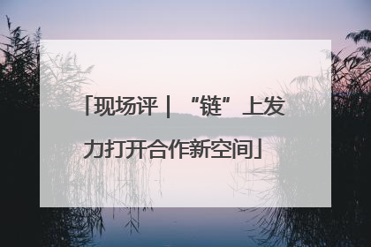 现场评｜“链”上发力打开合作新空间