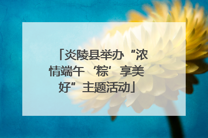 炎陵县举办“浓情端午‘粽’享美好”主题活动