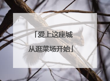 爱上这座城 从逛菜场开始