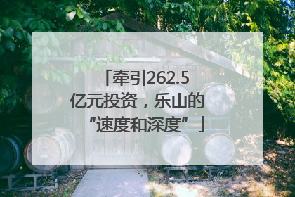 牵引262.5亿元投资，乐山的“速度和深度”