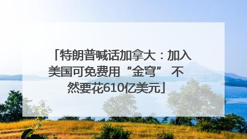 特朗普喊话加拿大：加入美国可免费用“金穹” 不然要花610亿美元