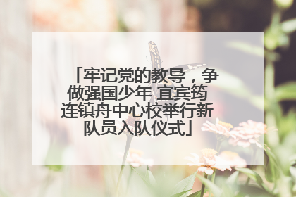 牢记党的教导，争做强国少年 宜宾筠连镇舟中心校举行新队员入队仪式
