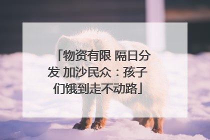 物资有限 隔日分发 加沙民众：孩子们饿到走不动路