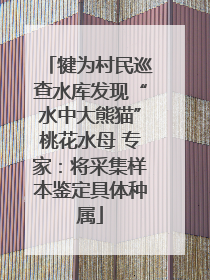 犍为村民巡查水库发现“水中大熊猫”桃花水母 专家：将采集样本鉴定具体种属