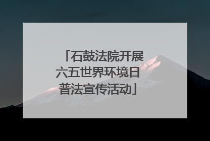 石鼓法院开展六五世界环境日普法宣传活动