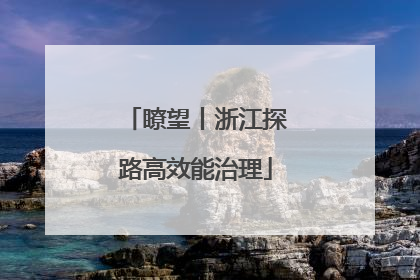 瞭望丨浙江探路高效能治理