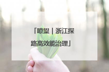 瞭望｜浙江探路高效能治理