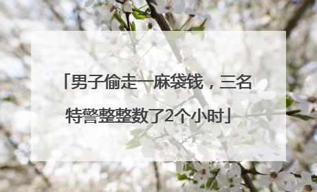 男子偷走一麻袋钱，三名特警整整数了2个小时