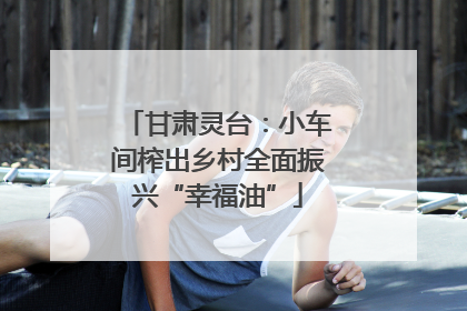 甘肃灵台：小车间榨出乡村全面振兴“幸福油”