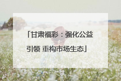 甘肃福彩：强化公益引领 重构市场生态