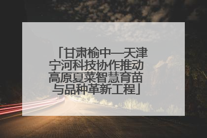 甘肃榆中—天津宁河科技协作推动高原夏菜智慧育苗与品种革新工程