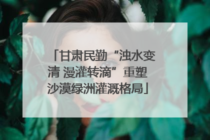 甘肃民勤“浊水变清 漫灌转滴”重塑沙漠绿洲灌溉格局