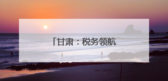甘肃：税务领航 助企合规前行