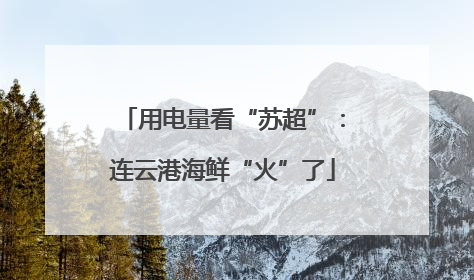 用电量看“苏超”：连云港海鲜“火”了