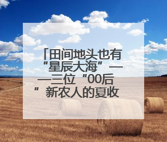 田间地头也有“星辰大海”——三位“00后”新农人的夏收故事