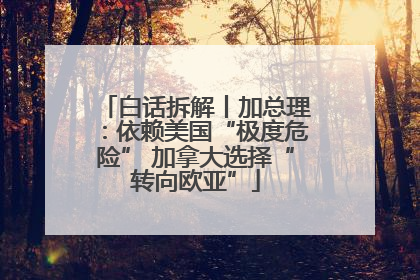 白话拆解丨加总理：依赖美国“极度危险” 加拿大选择“转向欧亚”