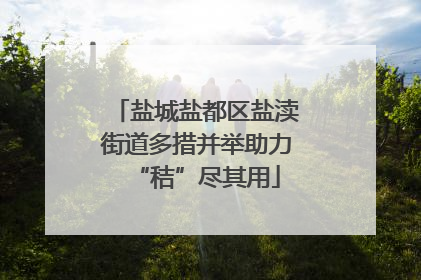 盐城盐都区盐渎街道多措并举助力“秸”尽其用