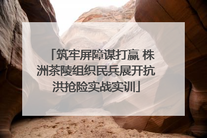 筑牢屏障谋打赢 株洲茶陵组织民兵展开抗洪抢险实战实训